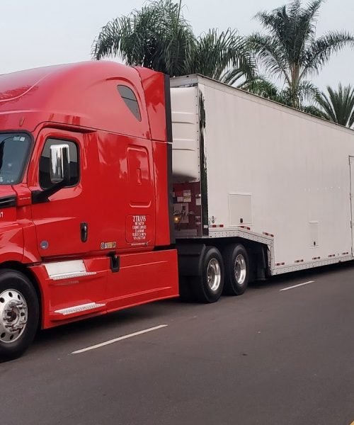 Trucks (11)