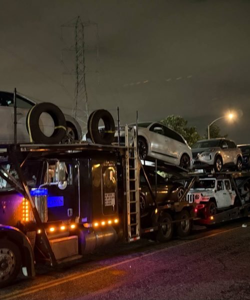 Trucks (3)