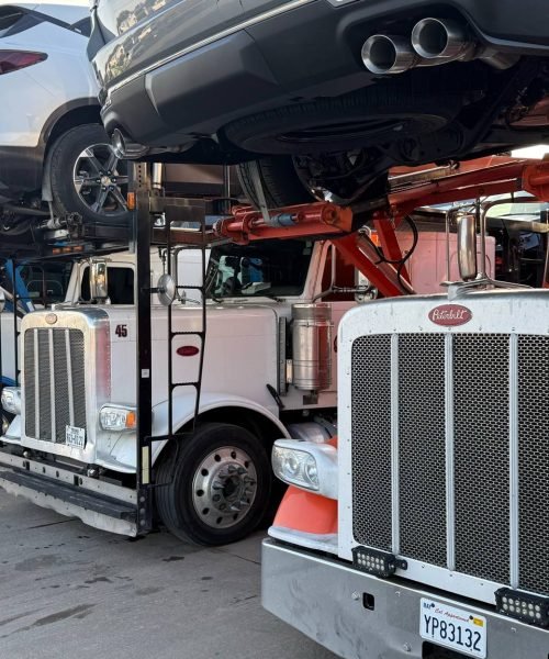 Trucks (5)