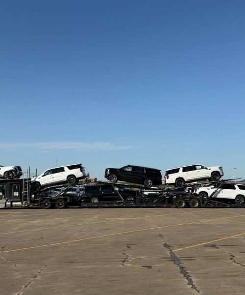 Trucks (8)